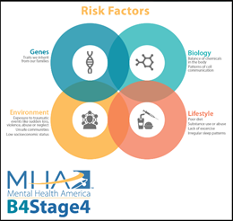 Risk factors for mental illness include genetics, biology, environment, and lifestyle.