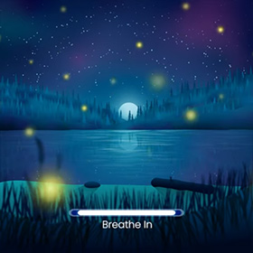 Thumbnail for "Fireflies" video